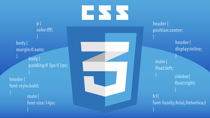 CSS logo
